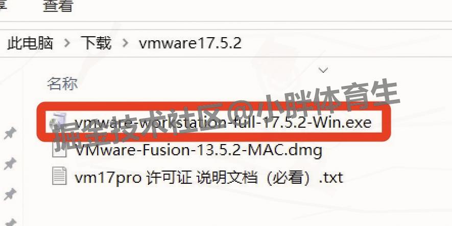 VMware 17 Pro 虚拟机下载安装教程